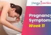 Pregnancy-Symptoms-Week-11