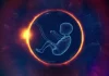 Baby inside womb