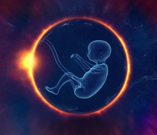 Baby inside womb