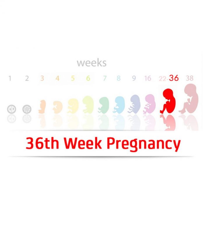 Week 36 Pregnancy Symptoms