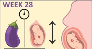 Week 28 of pregnancy