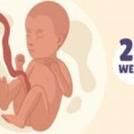 Week 29 of pregnancy Symptoms