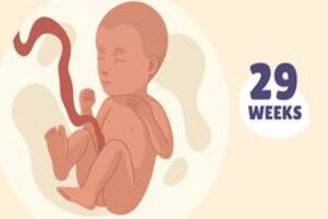 Week 29 of pregnancy Symptoms