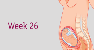 Week 26 Pregnancy Symptoms