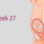 Week 27 Pregnancy Symptoms