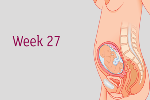 Week 27 Pregnancy Symptoms